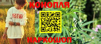 бошки Камышлов