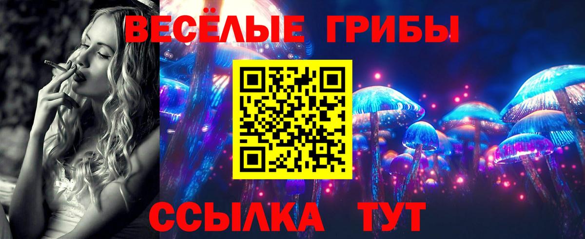 Галлюциногенные грибы MAGIC MUSHROOMS  Вход с VPN  Кубинка 