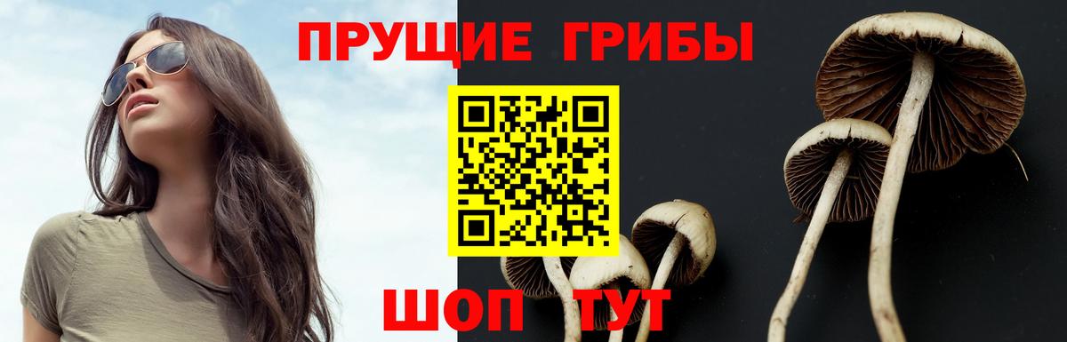 Галлюциногенные грибы ЛСД Кубинка